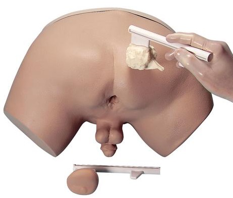 Simulador de examen de próstata Nasco Life/form LF00901U