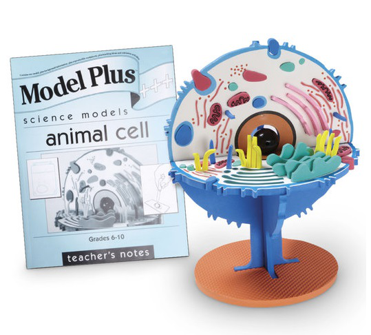 Maqueta de célula animal SI Manufacturing SI69072