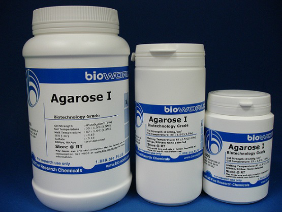 Agarosa, Grado de Biología Molecular x 500 gr marca BioWorld cod. 40100164-4 (517948)