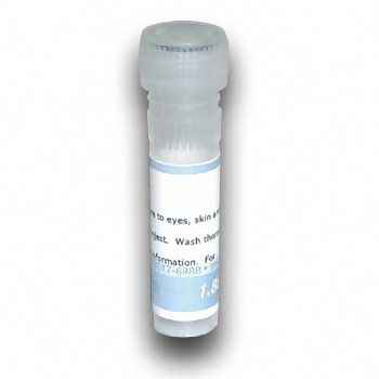 Marcador de peso molecular CRNA, 16S + 23S ARN ribosomal Bio world 10430013-1 (502360)