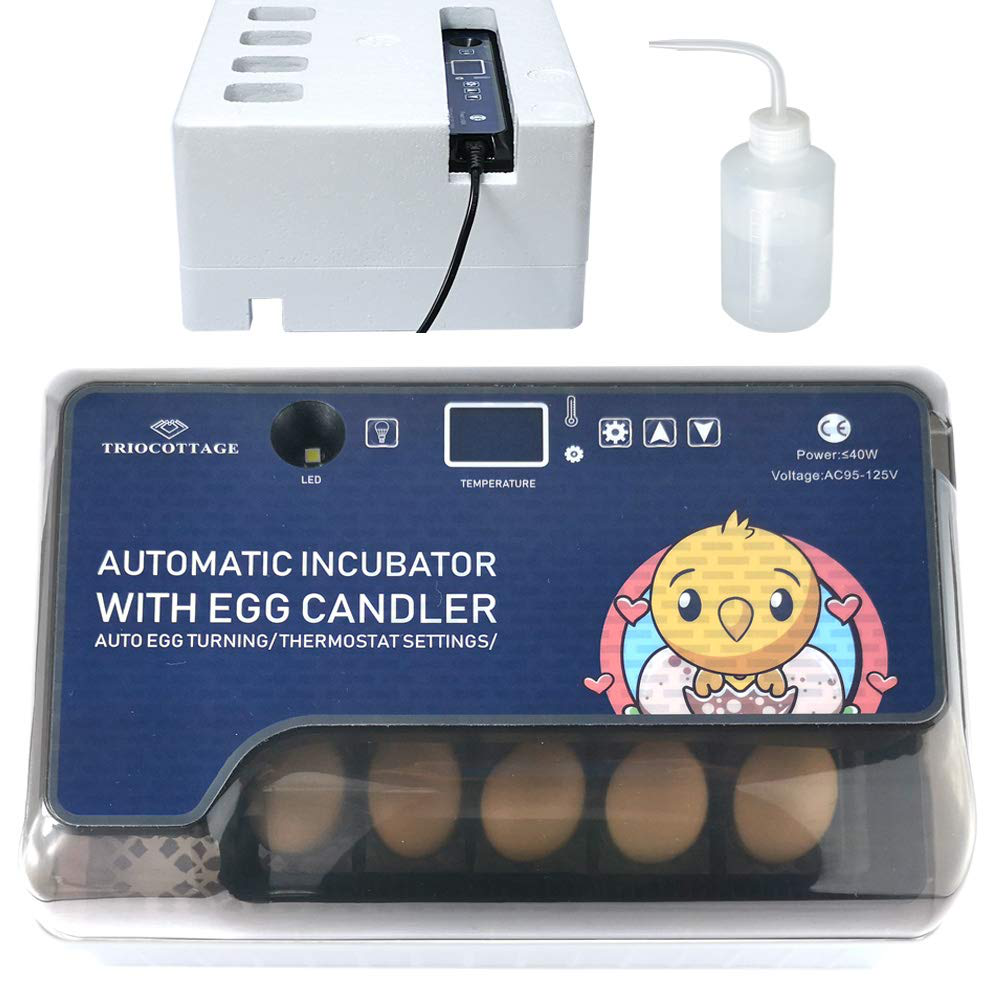 Kit Incubadora de huevos + termohigrómetro TRIOCOTTAGE