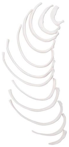 COSTILLAS