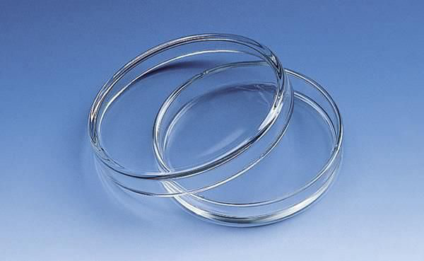 PLACAS PETRI DE 150 X 25 MM