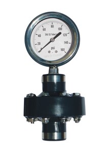 Kodiak Controls Medidor de sello químico de 2-1/2 pulg., 160 psi, con teflón y fluorolube