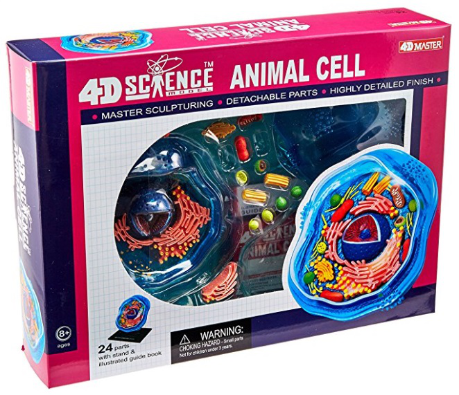 Celula Animal Maqueta Marca Famemaster 4D