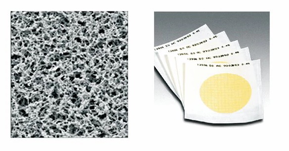 FILTROS DE MEMBRANA DE NITRATO DE CELULOSA ESTÉRIL CON REJILLA DE SARTORIUS: 0,45 ΜM MARCA SARTORIUS MODELO 1140647ACN