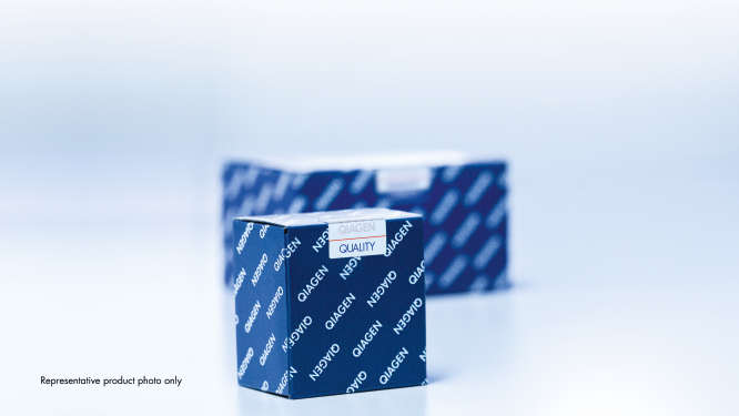 Kit Dneasy Powersoil Pro