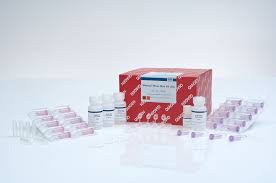 Minikit de cultivo de plantas RNeasy (50) Qiagen 74904