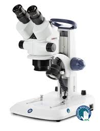 Estereoscópico trinocular con zoom Euromex SB1902-P