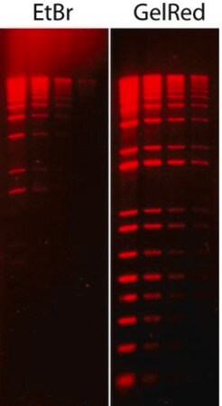 Tinción de ácidos nucleicos GelRed 10000X con agua Millipore SCT123