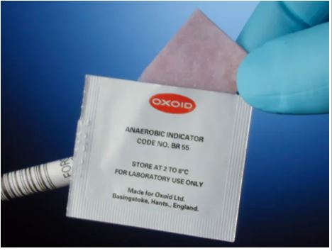 Indicador Anaeróbico de Resazurina Thermo Scientific™ Oxoid™