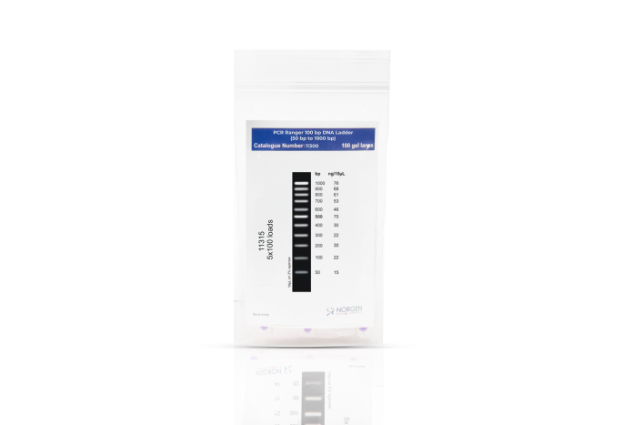 PCR Ranger 100 bp DNA Ladder Norgen 11300