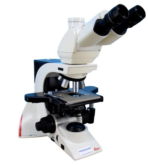 Microscopio Leica DM2500