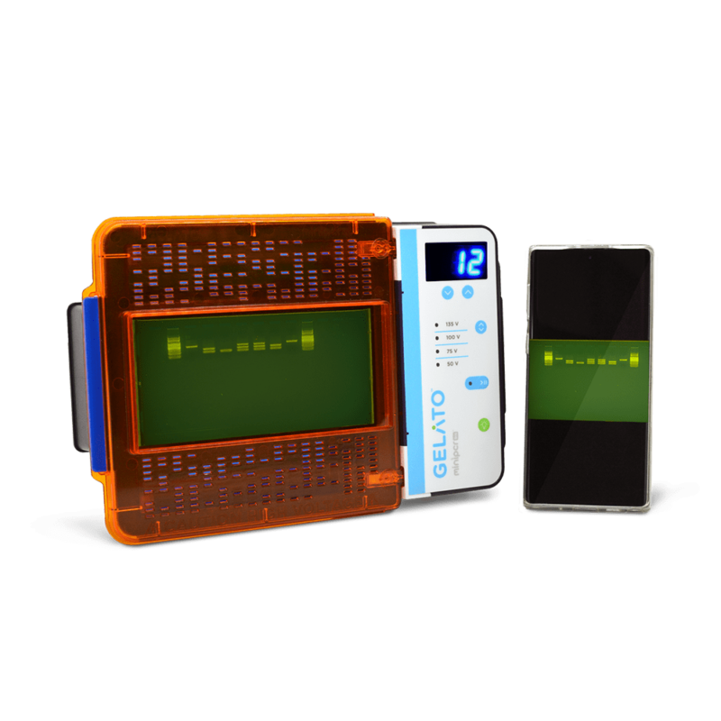 Sistema de electroforesis y visualización GELATO QP-1600-01