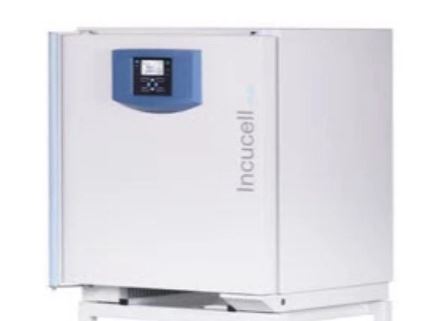 Incubadora de laboratorio de convección natural INCUCELL 55 ECO