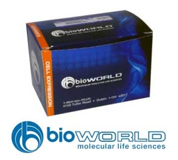 AGAR SABOURAUD DEXTROSA X 500 GR MARCA BIOWORLD CAT. 30622001-1