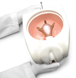 Educador para la planificación familiar - DIU Gaumard S502