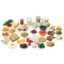 Kit de réplica de alimentos de MyPlate