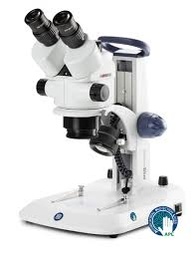 Estereoscópico trinocular con zoom Euromex SB1902-P