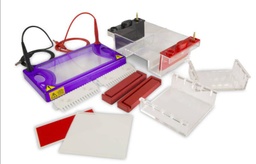 Sistema de electroforesis horizontal MultiSUB Mini