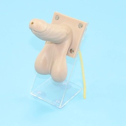 Modelo de enseñanza modelo de orientación anticonceptiva masculina DKULMN B0CXDWLS4Q